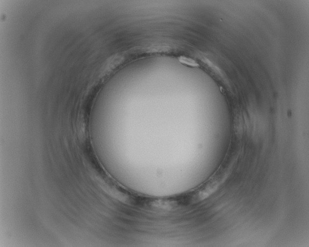 X0000073920261200609082245