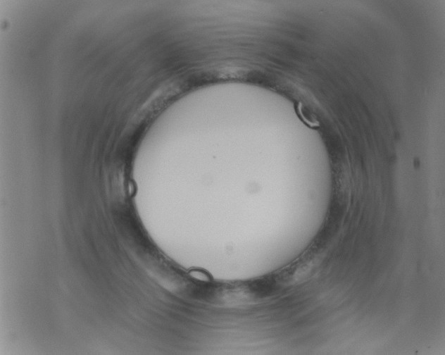 X0000073920262200609082245