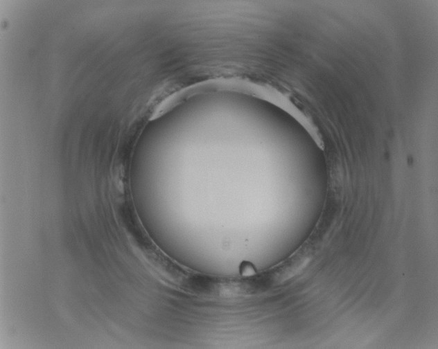 X0000073920264200609082245