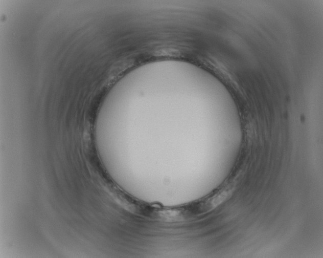 X0000073920265200609082245