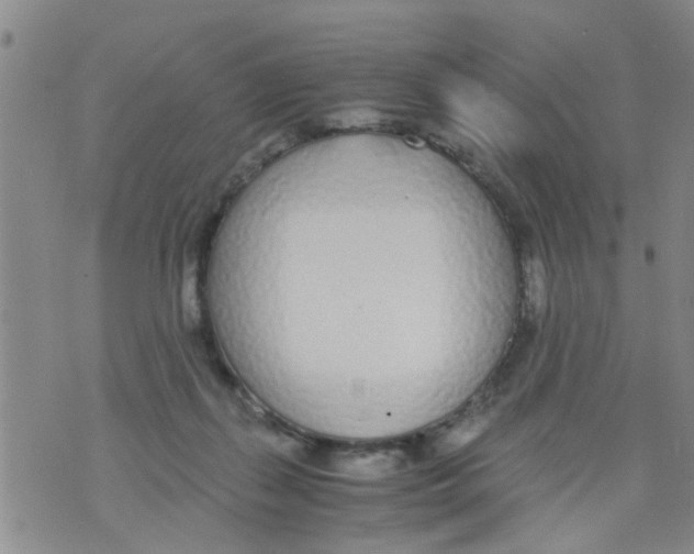 X0000073920267200609082245