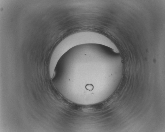 X0000073920268200609082245