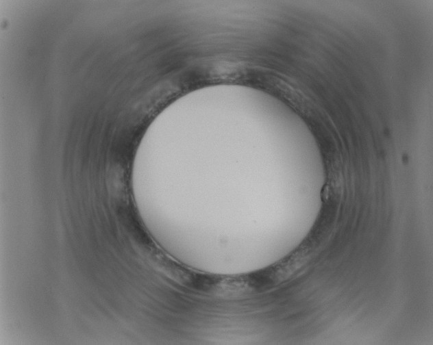 X0000073920270200609082245