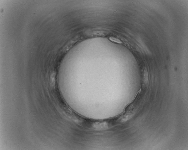 X0000073920271200609082245