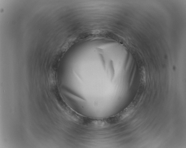 X0000073920272200609082245