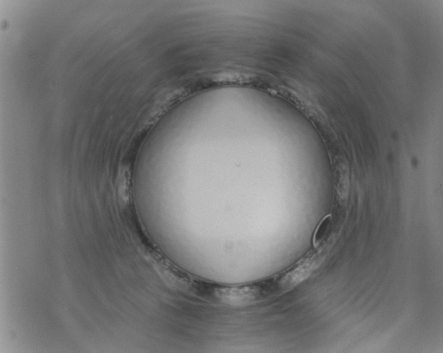 X0000073920273200609082245