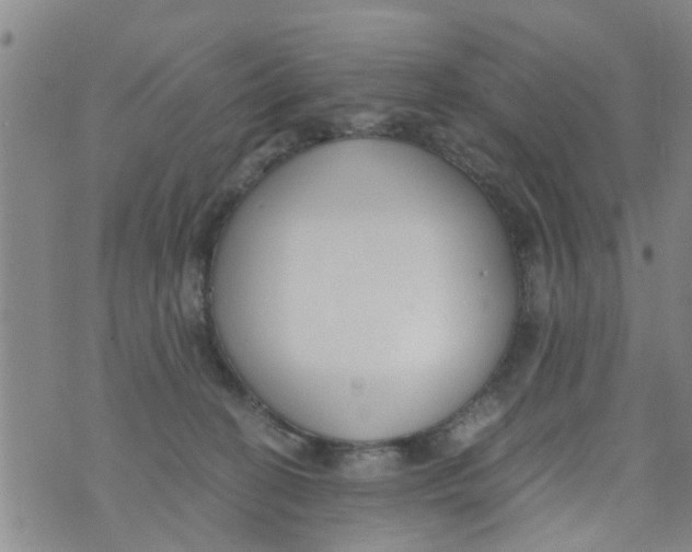 X0000073920274200609082245