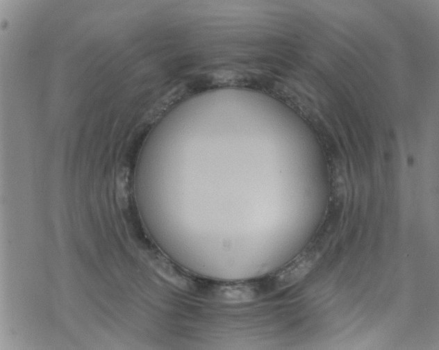 X0000073920275200609082245