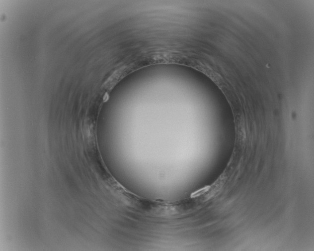 X0000073920276200609082245