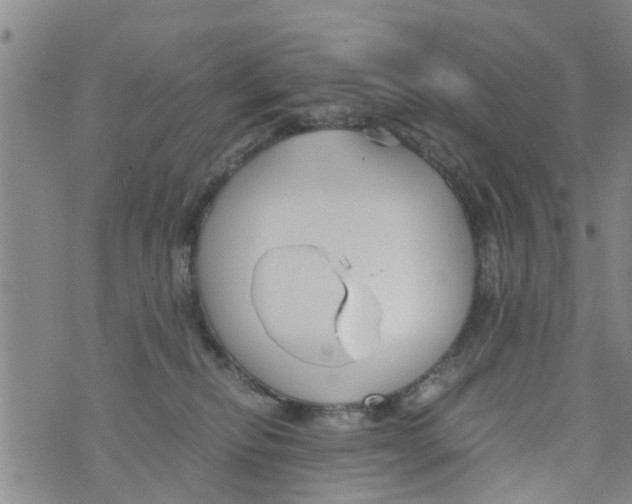 X0000073920278200609082245