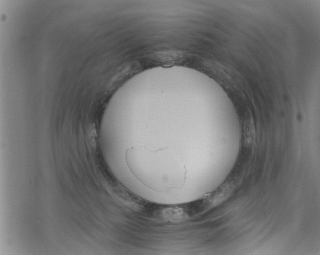 X0000073920279200609082245