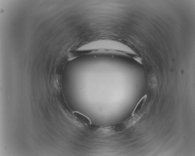 X0000073920280200609082245