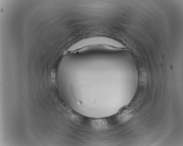 X0000073920281200609082245