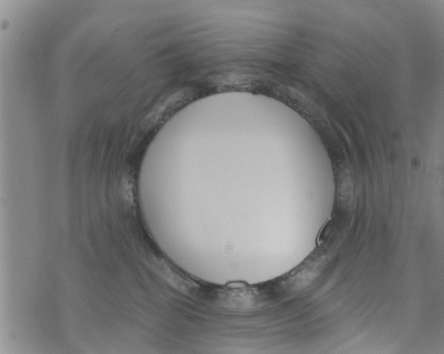 X0000073920282200609082245