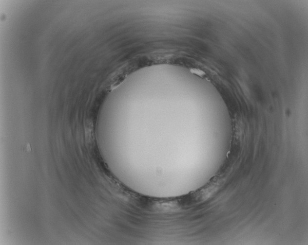 X0000073920283200609082245