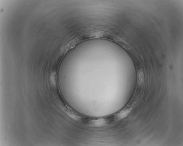 X0000073920286200609082245