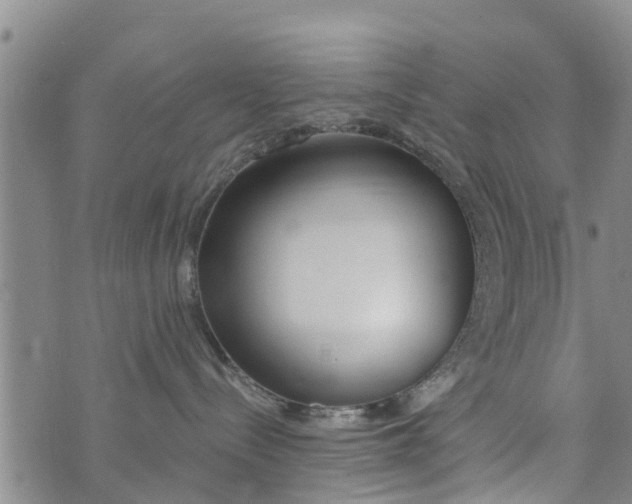 X0000073920288200609082245