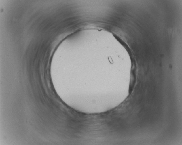 X0000073920289200609082245