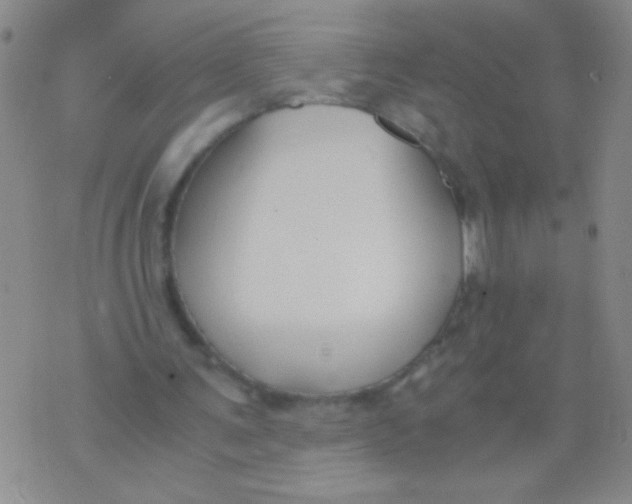 X0000073920291200609082245