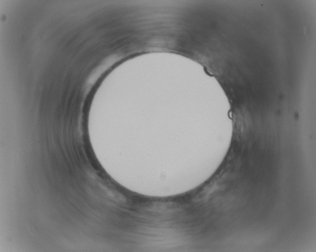 X0000073920292200609082245