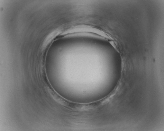 X0000073920293200609082245