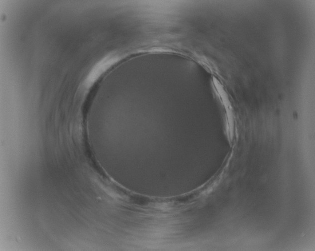 X0000073920295200609082245