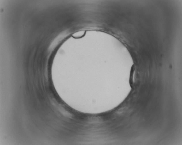 X0000073920296200609082245