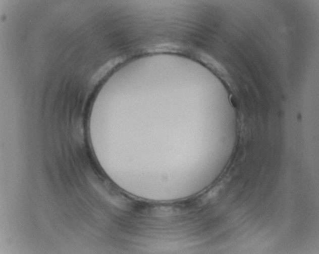 X0000073920298200609082245