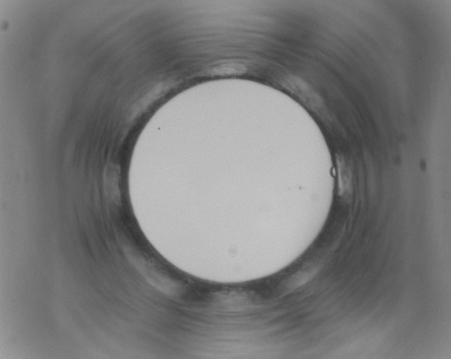 X0000073920300200609082245