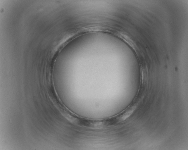 X0000073920301200609082245