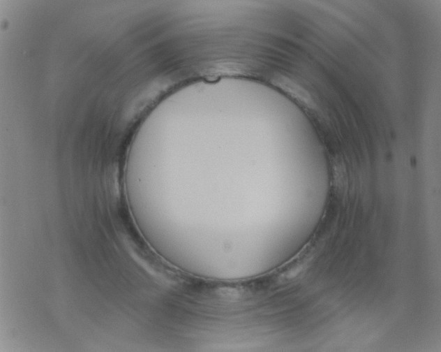 X0000073920302200609082245