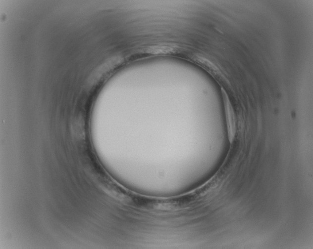 X0000073920303200609082244