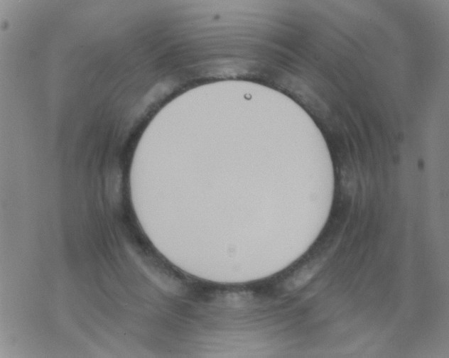 X0000073920304200609082244