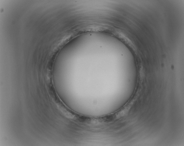 X0000073920305200609082244