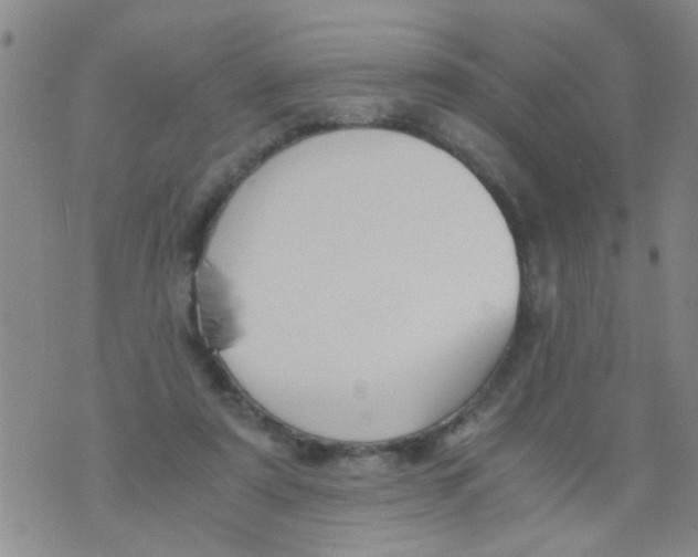 X0000073920307200609082244