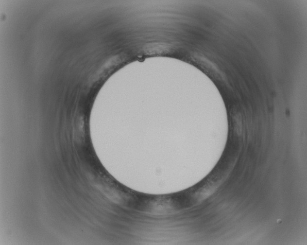 X0000073920308200609082244