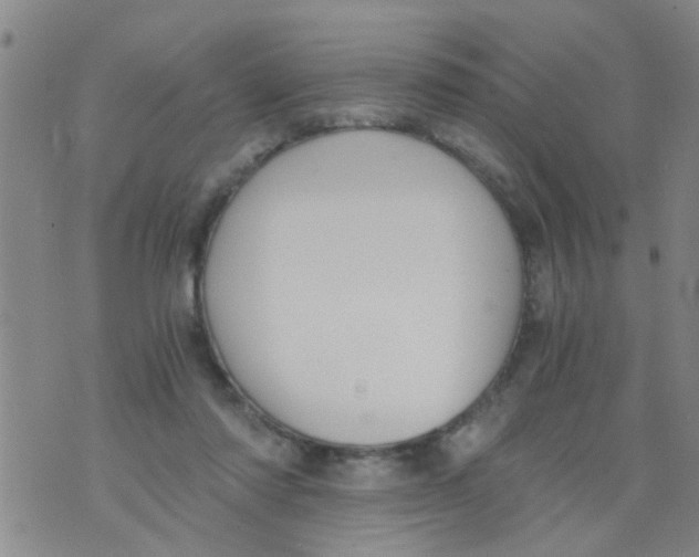 X0000073920310200609082244