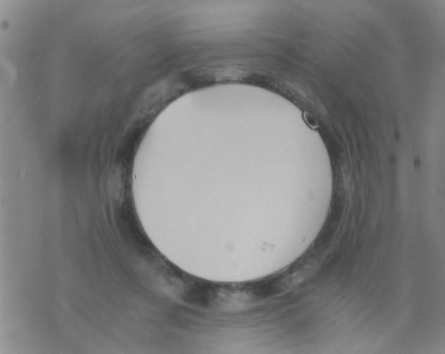 X0000073920311200609082244