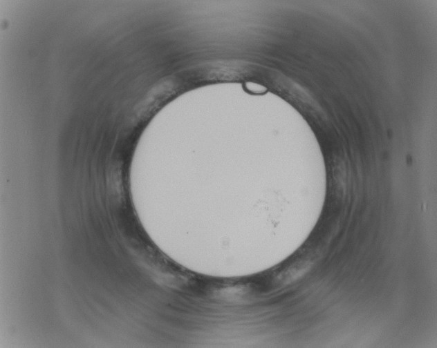 X0000073920312200609082244