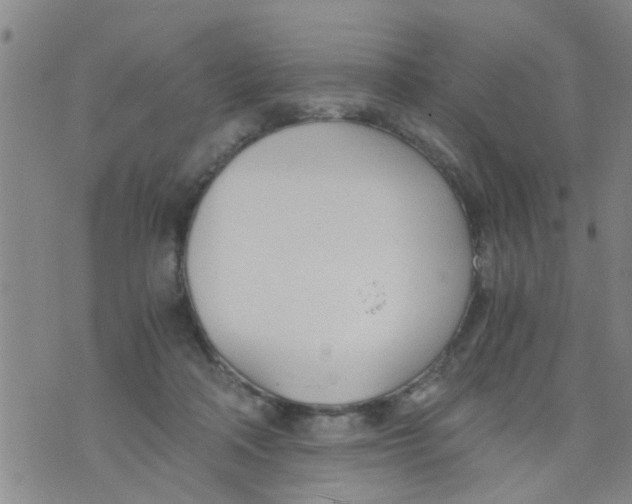 X0000073920314200609082244