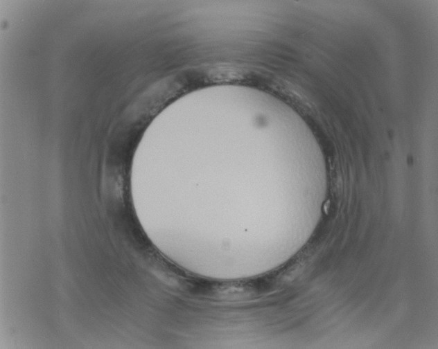 X0000073920315200609082244