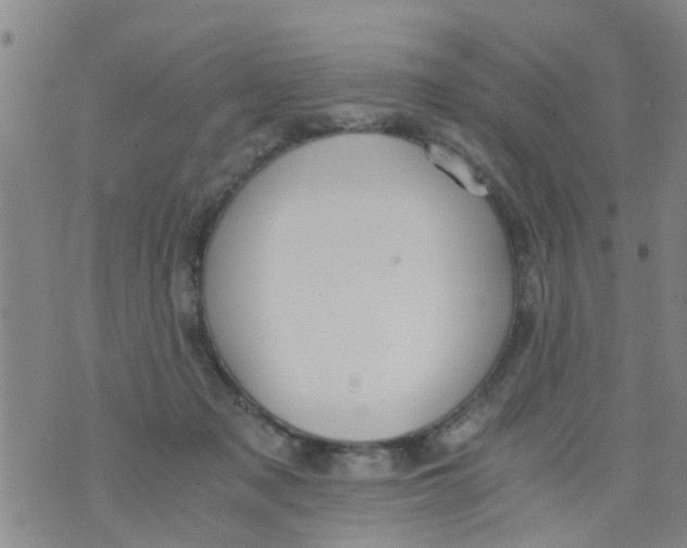 X0000073920317200609082244