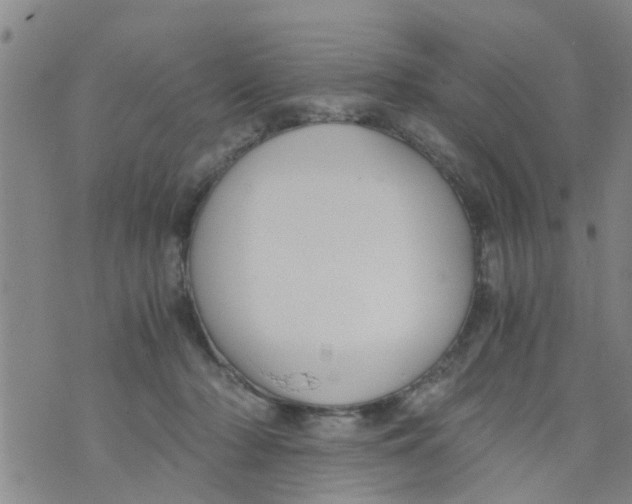 X0000073920318200609082244