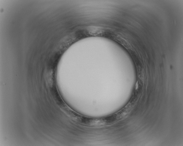 X0000073920319200609082244