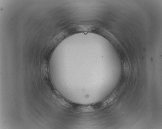 X0000073920322200609082244