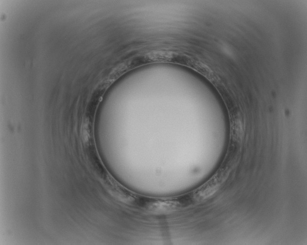 X0000073920323200609082244