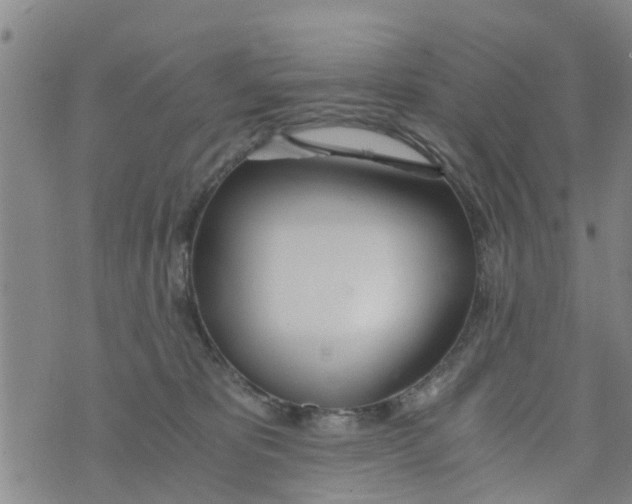 X0000073920325200609082244