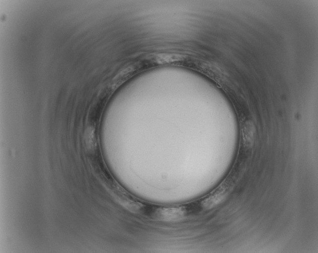 X0000073920327200609082244