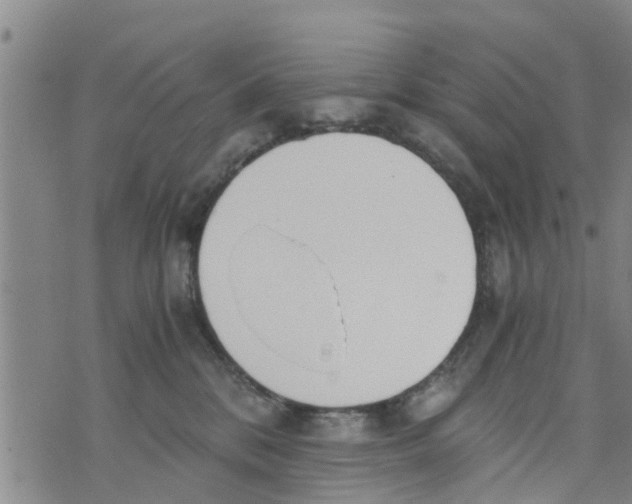 X0000073920328200609082244