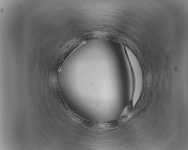 X0000073920329200609082244